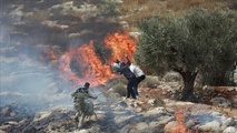 ويقيمون خيمة استيطانية شرقها، حسب وكالة الأنباء الفلسطينية "وفا"