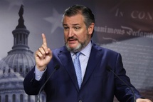 عضو الكونغرس تيد كروز - لقطة شاشة -سي ان ان عضو الكونغرس تيد كروز - لقطة شاشة -سي ان ان