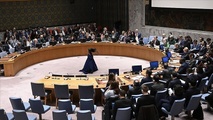 - مجلس الأمن الدولي يعقد اجتماعا حول العدوان الاسرائيلي على سورياالخميس- انباء الامم المتحدة