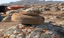 الامن التونسي يصادر 600 قذيفة من مخلفات الحرب العالمية الثانية الامن التونسي يصادر 600 قذيفة من مخلفات الحرب العالمية الثانية