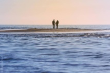 حبيبان في غزة يطلبان التبرع على الانترنت للزواج رغم الانتقادات حبيبان في غزة يطلبان التبرع على الانترنت للزواج رغم الانتقادات