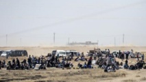 الهاربين من معارك شمال سوريا