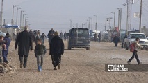 مخيم "الطلائع" شرقي الحسكة الذي يضم نازحين من رأس العين - 29 نيسان 2026 (عنب بلدي) مخيم "الطلائع" شرقي الحسكة الذي يضم نازحين من رأس العين - 29 نيسان 2026 (عنب بلدي)