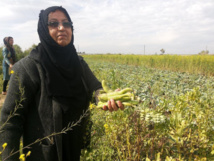 إدراج الأهوار ضمن لائحة التراث العالمي في اليونسكو