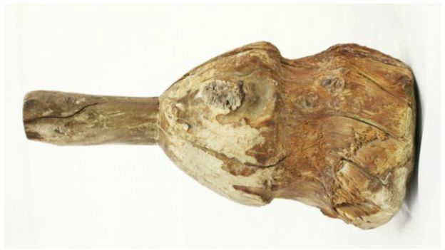 العثور على قطعة أثرية مصرية في خزانة ملابس في انجلترا