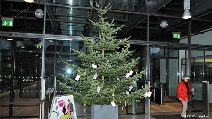 أشجار عيد الميلاد