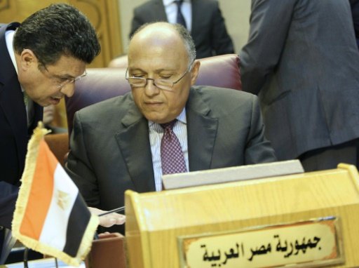 سامح شكري