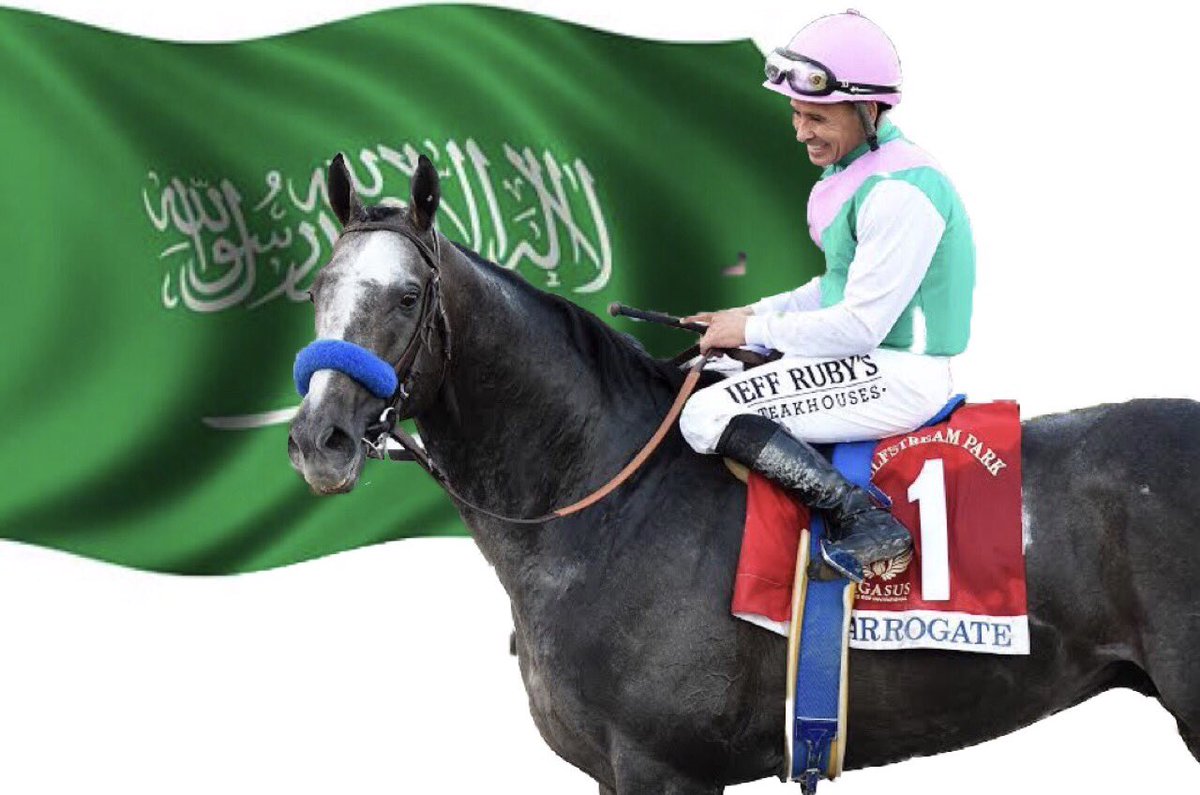 الجواد "أروجيت" للأمير خالد بن عبدالله يتوج بكأس دبي العالمي للخيول