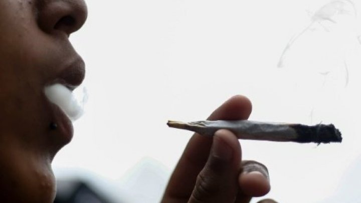 تونس: البرلمان يعدل قانون عقوبة استهلاك "الحشيش" المثير للجدل