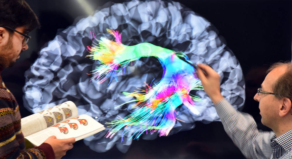 عقل إنسان مزدوج اللغة