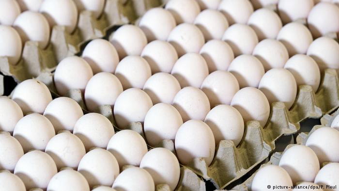 بلجيكا علمت بفضيحة تلوث البيض بالمبيد الحشري منذ  شهرين