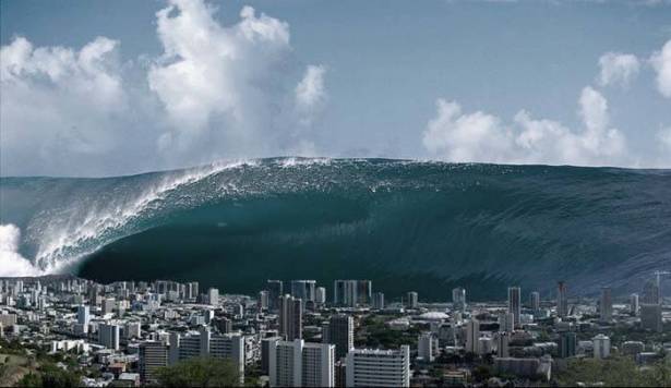 تسونامي اليابان دفع حيوانات للسفر لأمريكا بطوافات بلاستيكية