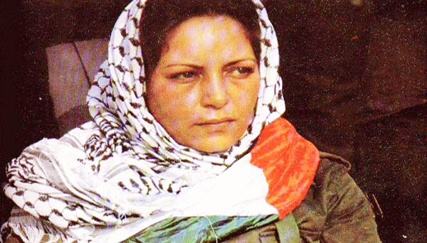 دلال المغربي