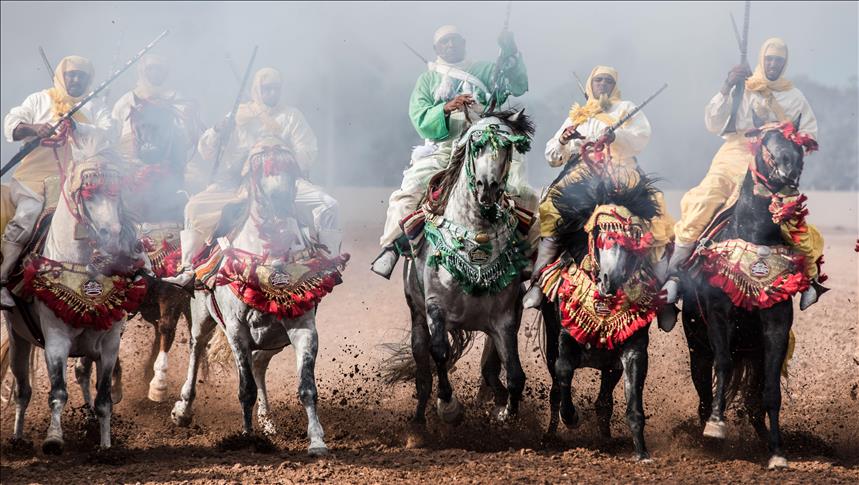 خيول المغرب تتنافس على جائزة الملك في "احتفالات النصر" 