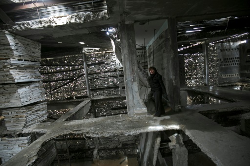 توقف مولدات الكهرباء في 3 مستشفيات و13 مركزا صحيا في غزة