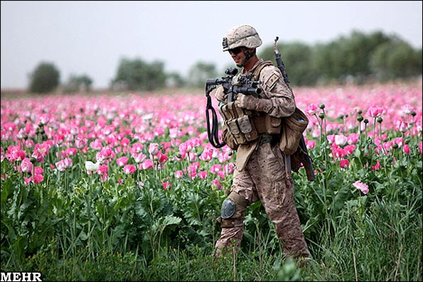 وكالة أممية: جهود القضاء على الأفيون في أفغانستان "لا تكاد تذكر"