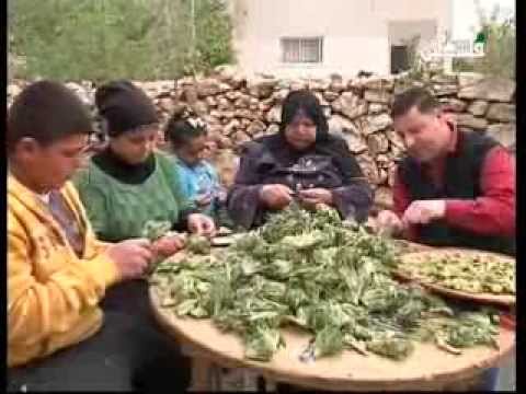 "العكوب".. أكلة فلسطينية تجمع نساء نابلس حولها كل عام