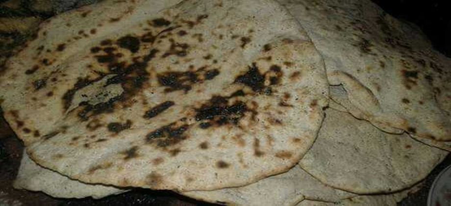 اكتشاف أقدم آثار للخبز المصنوع من الديس البحري والقمح 