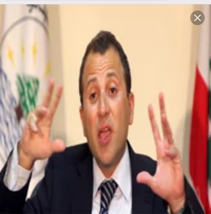  لبنان سيعيد كل سوري صوّت للأسد بالانتخابات....هكذا تحدث باسيل