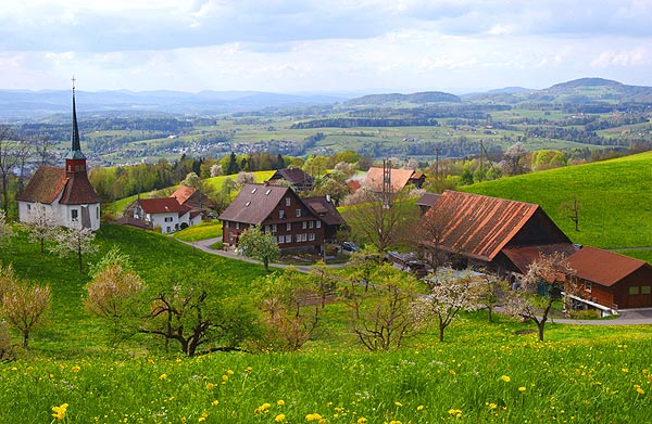  اهتمام بالانتقال لنيوزيلندا بعد تعاملها الحضاري مع هجوم المسجدين