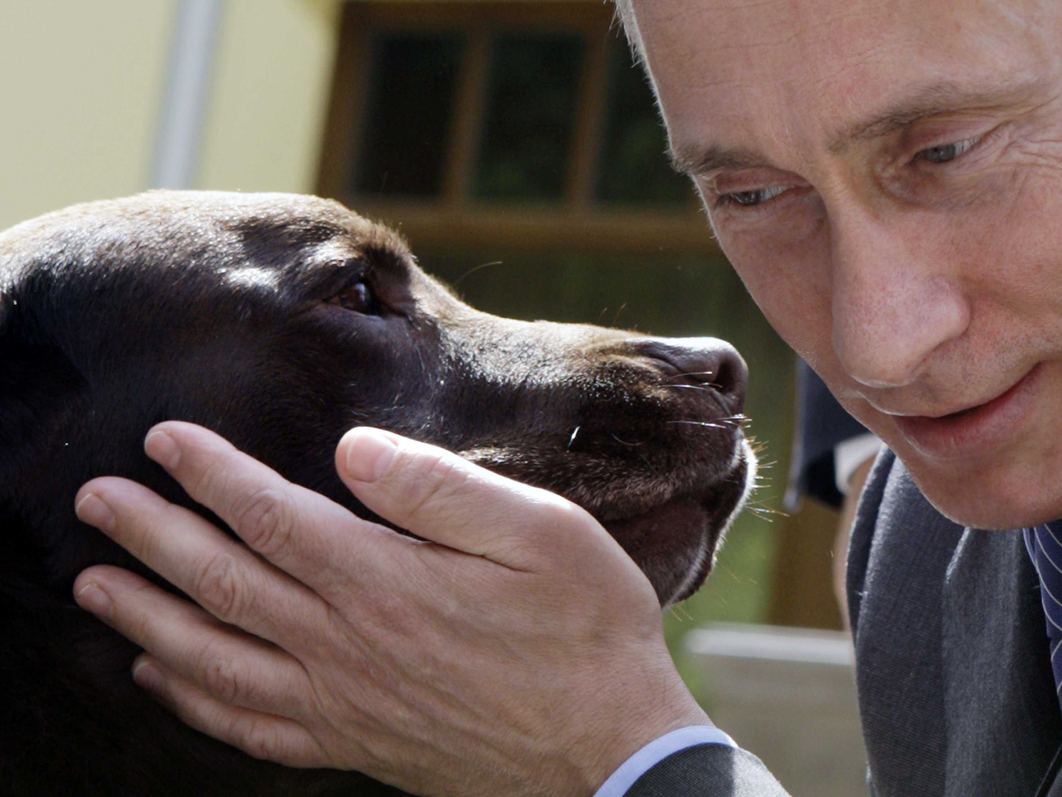 بوتين يوسع دائرة الأوكرانيين المسموح لهم بالجنسية الروسية