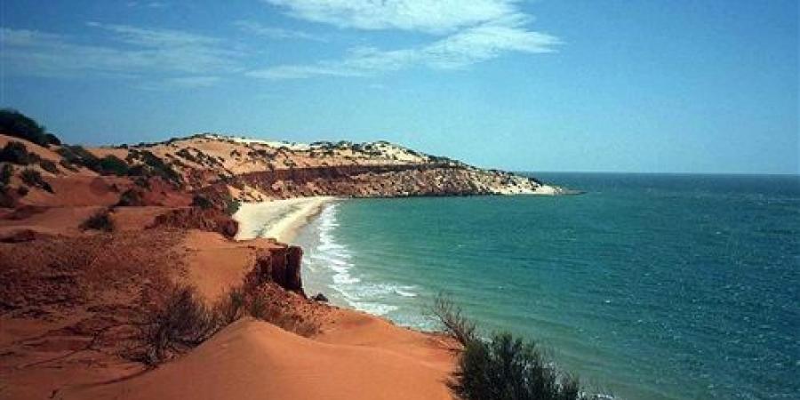 الأحوال الجوية أثرت على نحو نصف البيئة الساحلية في أستراليا الأحوال الجوية أثرت على نحو نصف البيئة الساحلية في أستراليا