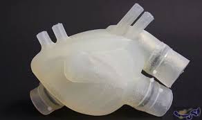 باحثون يصنعون نموذجا لقلب إنسان باستخدام الطابعة ثلاثية الأبعاد باحثون يصنعون نموذجا لقلب إنسان باستخدام الطابعة ثلاثية الأبعاد