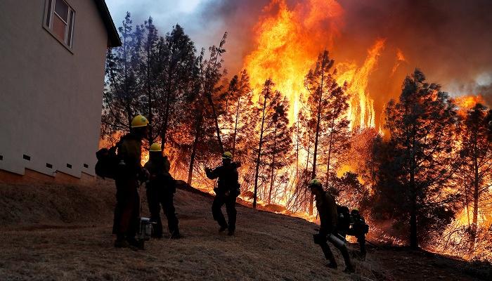 حريق غابات جزيرة جران كاناريا الإسبانية يلتهم أكثر من 1500 هكتار