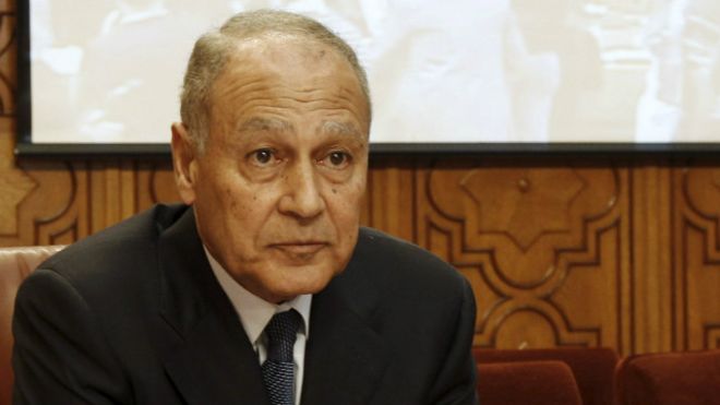 احمد ابو الغيط
