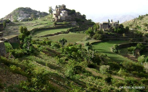 جبل صبِر... متنفس فريد يجذب الآلاف في تعز اليمنية المحاصرة