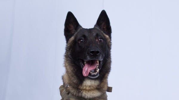 ترامب ينشر صورة الكلب المشارك بعملية قتل البغدادي