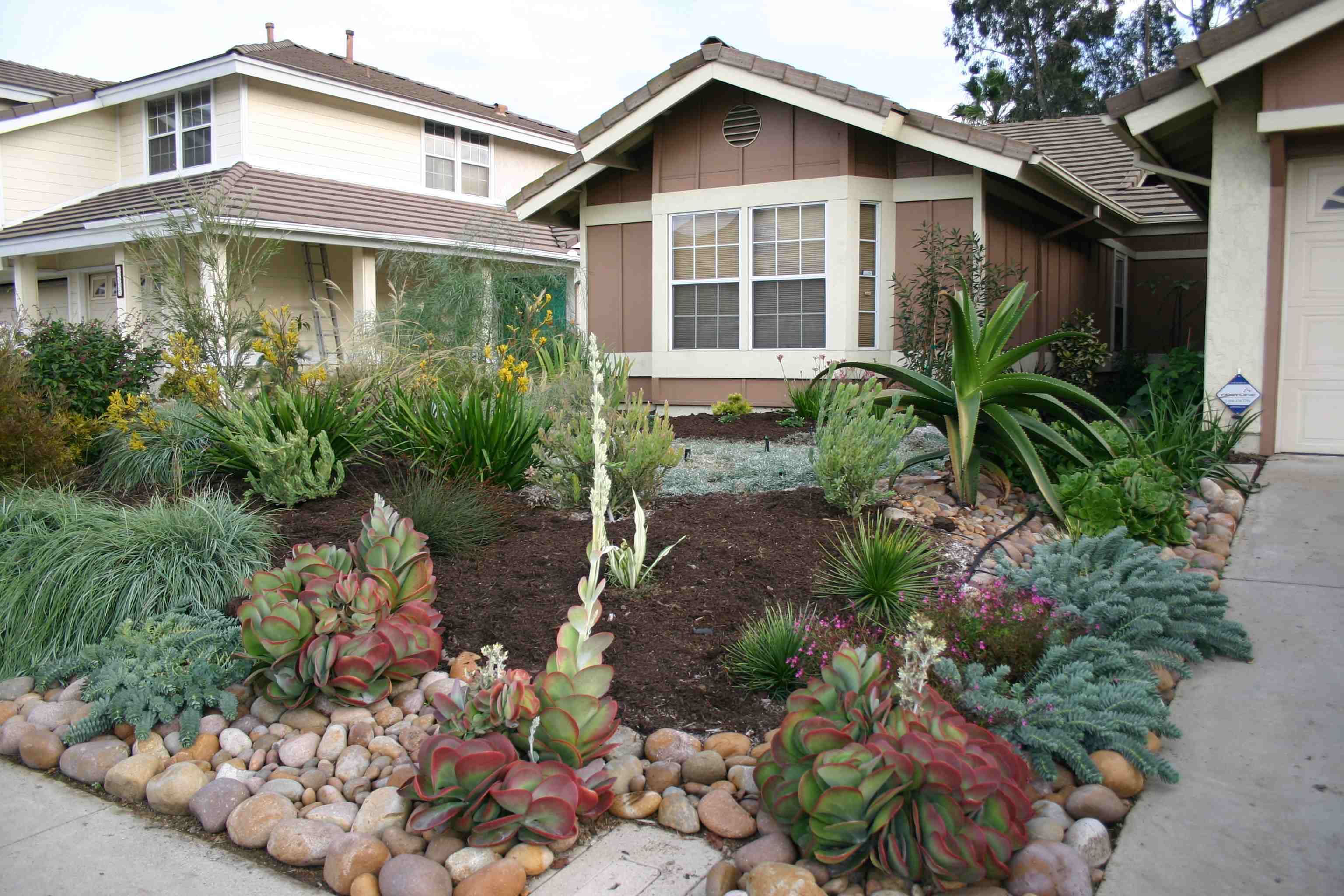 سكان لوس آنجليس يستخدمون أحواض النباتات لطرد المشردين  