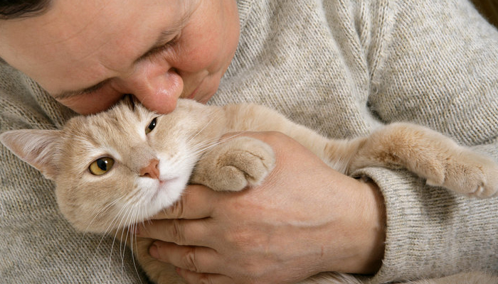 حملات على فيسبوك تقود لاعتقال سفاح قطط في تونس