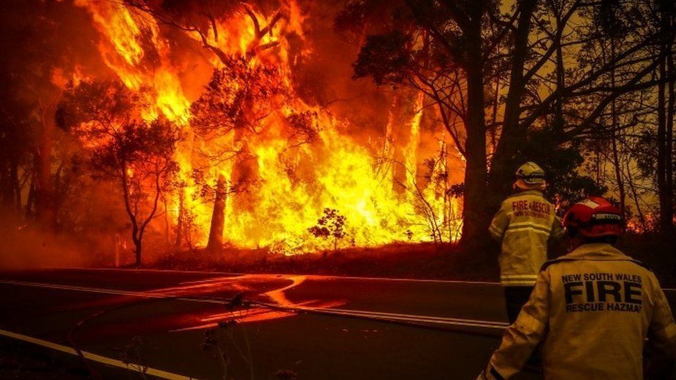 حرائق الغابات في شيلي عام 2017 تسببت في انبعاثات ضاره بالبيئه  