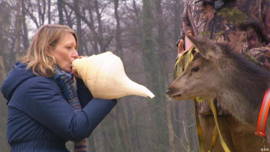 مسابقة فريدة في ألمانيا لأفضل مناد على الغزلان