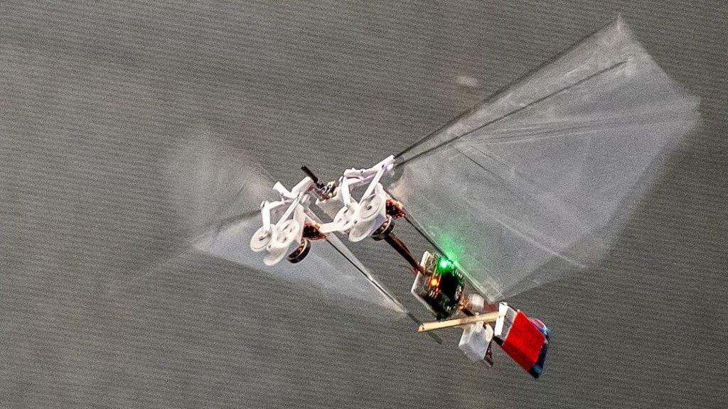 روبوت في فرنسا لتعقب الحشرات الطائرة وتصويرها