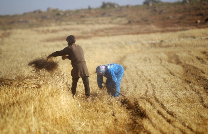 أزمة خبز متوقعة في سوريا بعد ان دمر القصف محصول القمح  