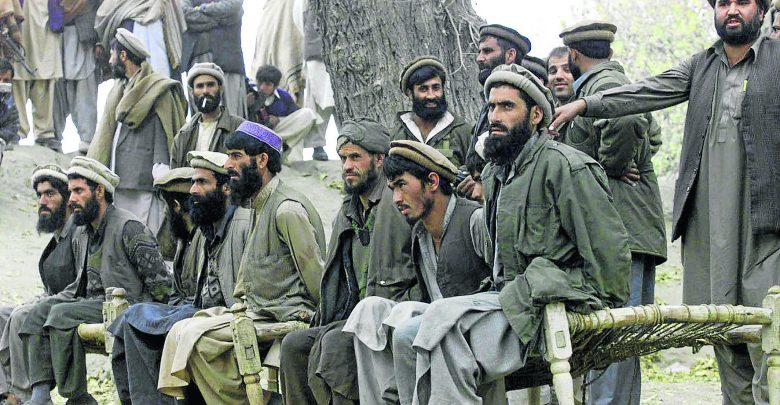 خبير ايطالي: انتصار طالبان في افغانستان سيقوي "تنظيم القاعدة"