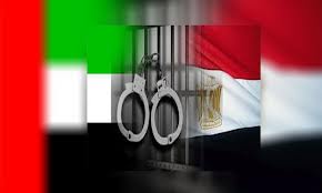 بدء محاكمة "الخلية الإخوانية المصرية الإماراتية" بأبوظبي