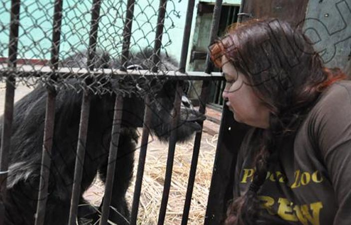 جماعة مدافعة عن حقوق حيوان تطالب بتطبيق حقوق الإنسان على شمبانزي