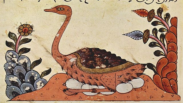 القلعة السرية ...التنقيب عن الجنس في عالم عربي متغير