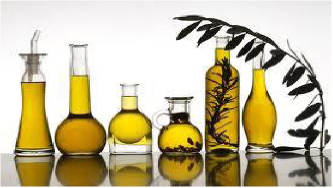 معصرة الحاج يونس المصرية ... شاهد على تاريخ الصناعات البيئية في البلاد