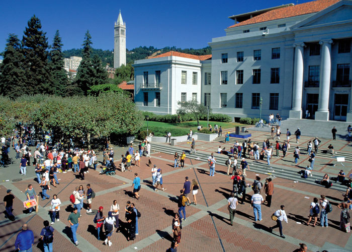جامعة بيركلي