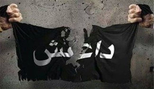 التحالف يدمر آليات لتنظيم "داعش" كانت في طريقها إلى عين العرب