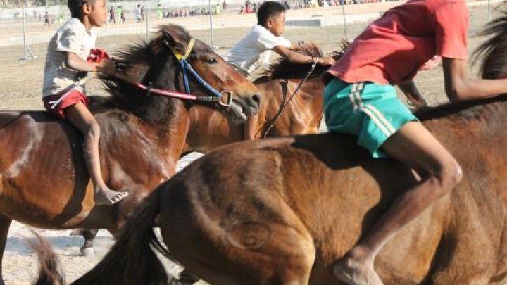 أطفال يشاركون في سباقات الخيول مع رهانات غير شرعية في جزيرة إندونيسية