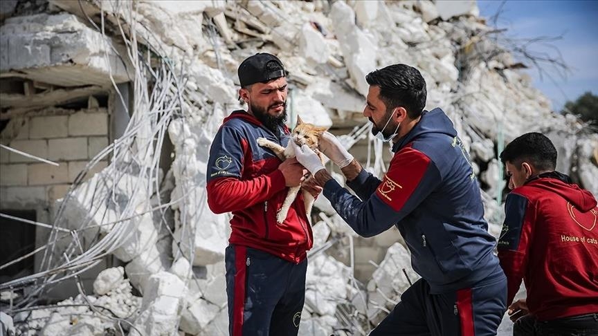 يعتني وتار وزملاؤه بدعم من فاعلي الخير بنحو ألفين و200 حيوان في مأوى تابع لجمعية- ايه ايه