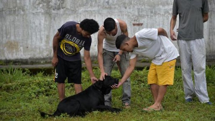  "العلاج بالكلاب" تجربة في السجون الاكوادورية لاخراج السجناء من ضيقهم