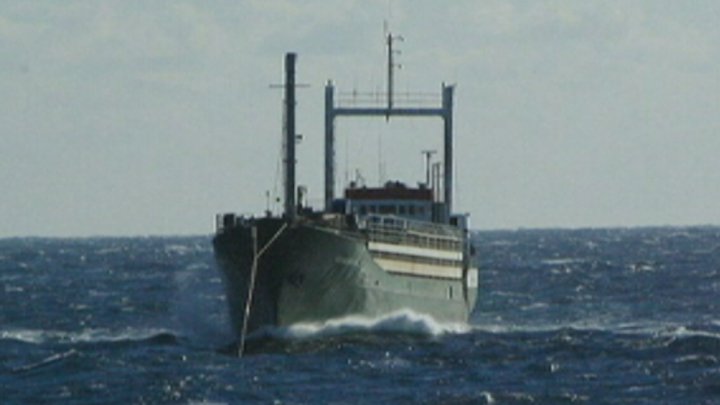 مهاجرون سوريون دفعوا آلاف الدولارات للمهربين للعبور إلى أوروبا