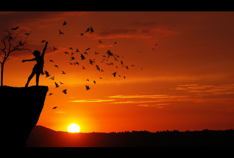 مهرجان برلين يختتم فعالياته بالعرض الاول لفيلمين جديدين من آسيا