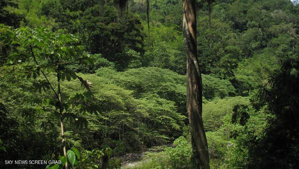 اكتشاف أطلال حضارة قديمة بأدغال هندوراس